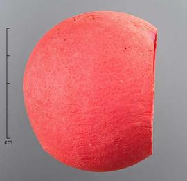  fruit, dyed pink, with top, pulp, and seeds removed, side view; photo by Christina Southwick 
