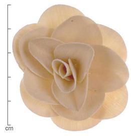  stem pith slices formed into a rose-shaped flower; photo by Lyndon Photography 
