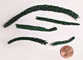  branchlets, dyed green; photo © The Lebermuth Company, Inc. 
