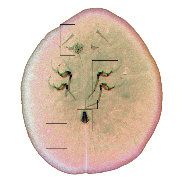 Micro Rollovers
