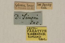              Diabrotica simoni Jacoby, paralectotype, labels       