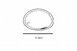  Embryo:  Didymeles integrifolia ; Illustration by K. Parker, Kirkbride et al. (2006)
