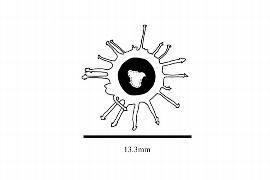  Embryo:  Krameria lappacea ; Illustration by K. Parker, Kirkbride et al. (2006)
