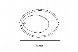  Embryo:  Bellota miersii ; Illustration by K. Parker, Kirkbride et al. (2006)
