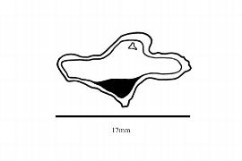  Embryo:  Iryanthera laevis ; Illustration by K. Parker, Kirkbride et al. (2006)
