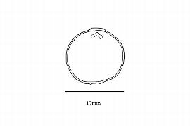  Embryo:  Otoba novogranatensis ; Illustration by K. Parker, Kirkbride et al. (2006)
