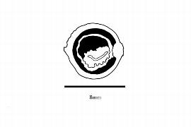  Embryo:  Oncostemum botryoides ; Illustration by K. Parker, Kirkbride et al. (2006)
