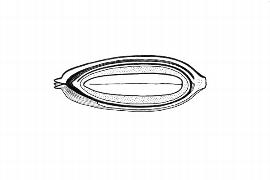  Embryo:  Limonium lobatum ; Illustration by K. Parker, Kirkbride et al. (2006)
