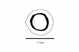  Embryo:  Xanthophyllum excelsum ; Illustration by K. Parker, Kirkbride et al. (2006)
