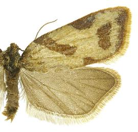  Male
