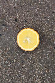              Fruit cross-section (Riverside, CA)       