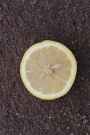            Fruit cross-section (Femminello Siracusano 2KR, Riverside,   CA)   