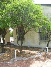            Habit (Winter Haven, FL)   