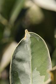              Margin (Riverside, CA)       