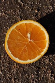              Fruit (Riverside, CA)       