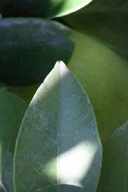              Margin (Riverside, CA)       