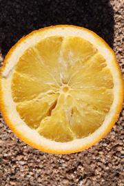              Fruit cross-section (Riverside, CA)       