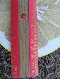              Fruit cross-section (Winter Haven, FL)       