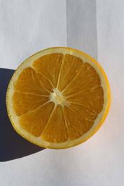            Fruit cross-section (Riverside, CA)   