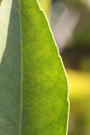              Margin (SRA 92, Riverside, CA)       