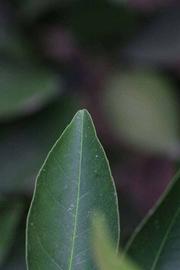              Margin (Riverside, CA)       