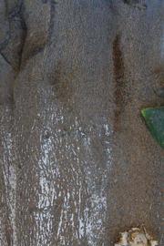            Bark (Riverside, CA)   