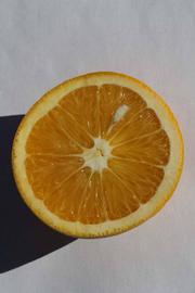            Fruit cross-section (Riverside, CA)   