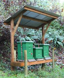  Drifting of bees occurred to the two end colonies; photo by Dewey M. Caron
