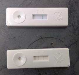  EFB test kit showing a negative result above, and a positive result below; photo by Dewey M. Caron
