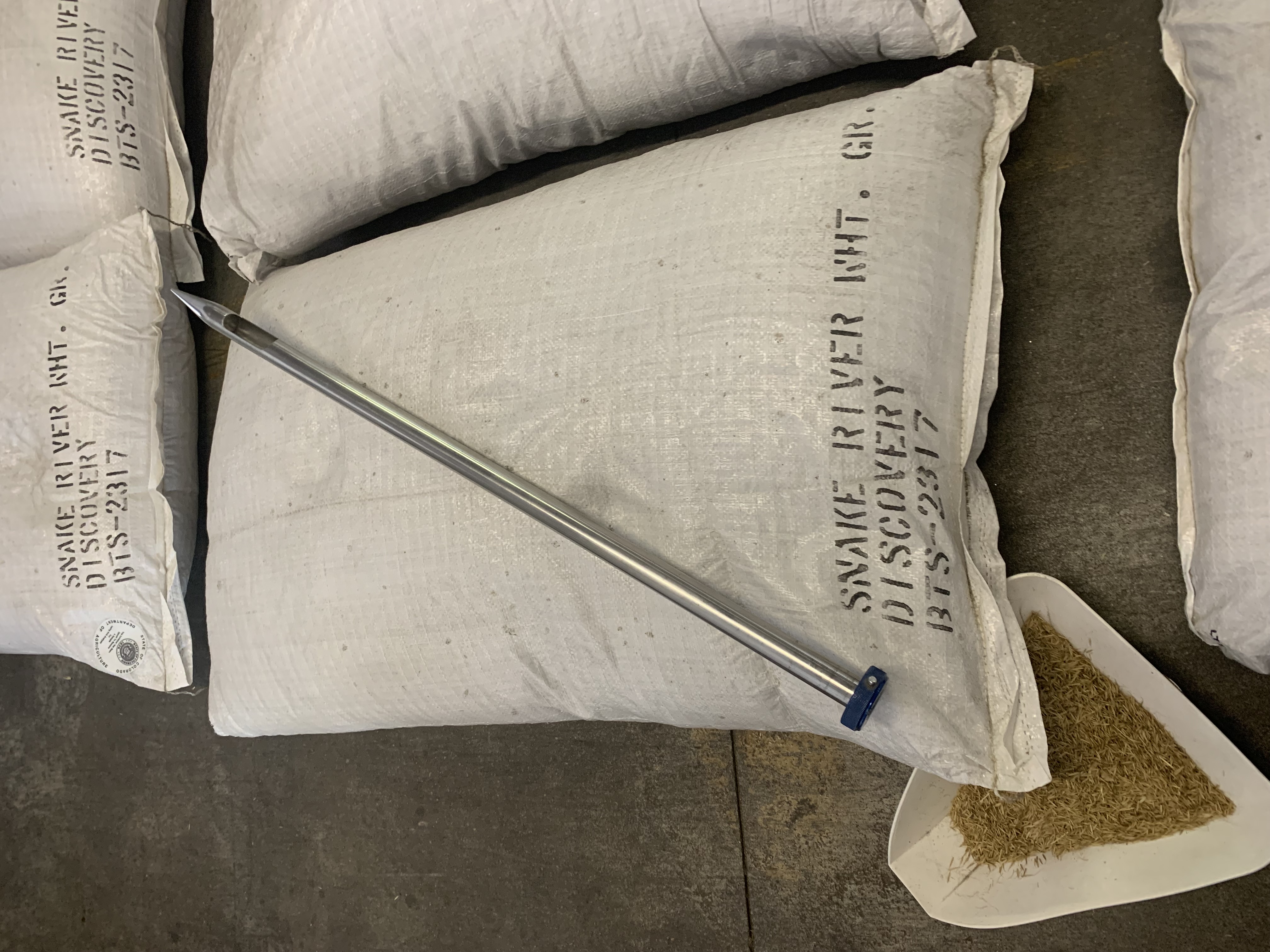 Demonstrating diagonal direction of probe; photo by Cara Meyers, Colorado Department of Agriculture