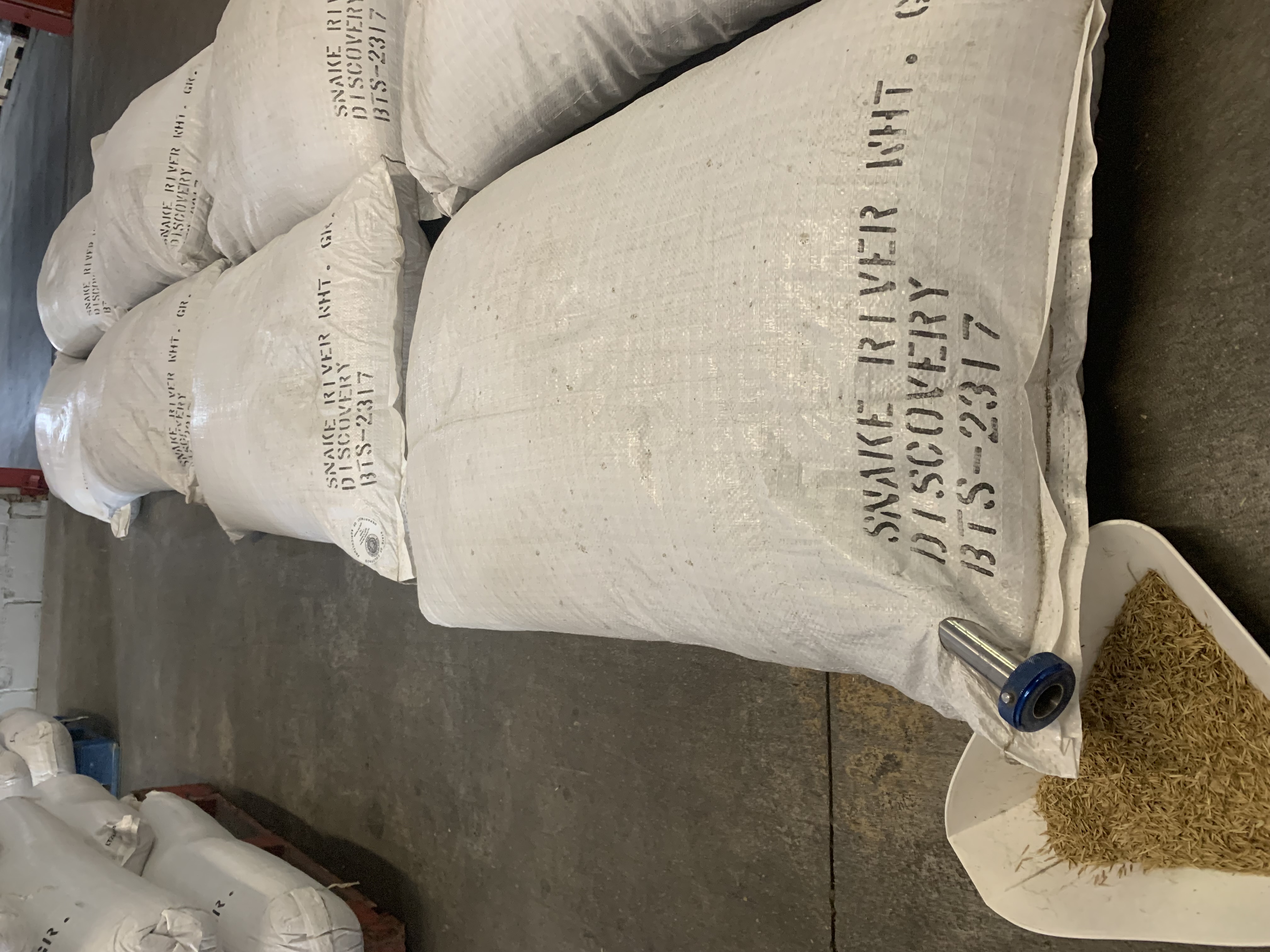 Probe in bag ready to be removed with tray underneath to minimize spillage; photo by Cara Meyers, Colorado Department of Agriculture