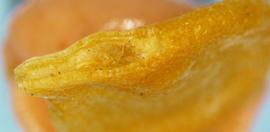  Capsicum  sp. Hilum area. Photo by Norma Diaz, USDA-APHIS-PPQ.